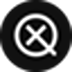 X Detector